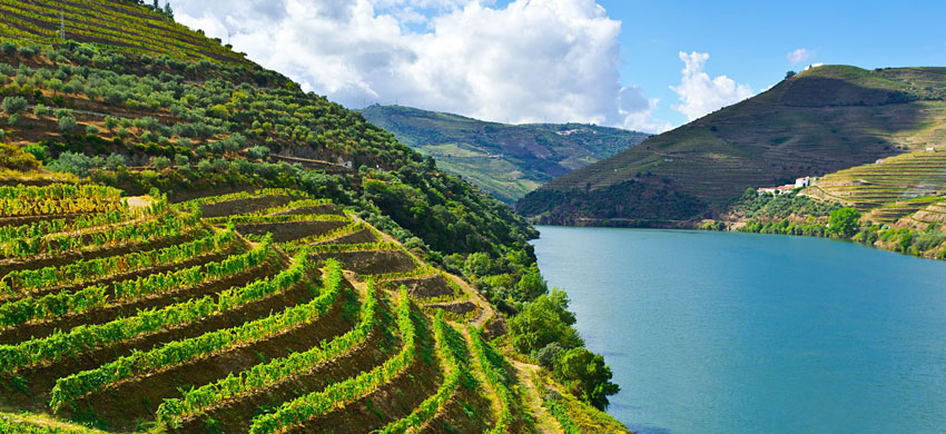 Vallée du Douro