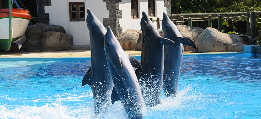 Zoo de Lisbonne
