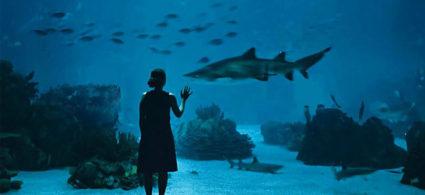 Oceanario de Lisboa
